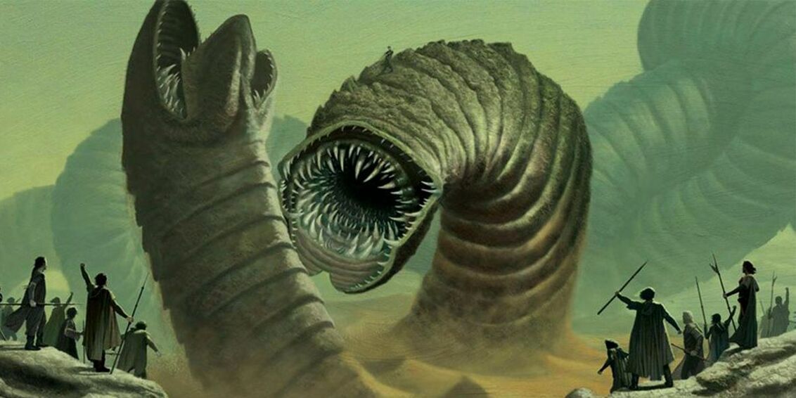 How to find out if you have parasites